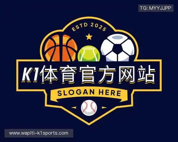 了解k1体育官方网站